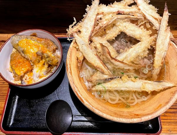 「肉ごぼう天うどん+野菜天とじ丼」@大地のうどん 博多駅ちかてんの写真