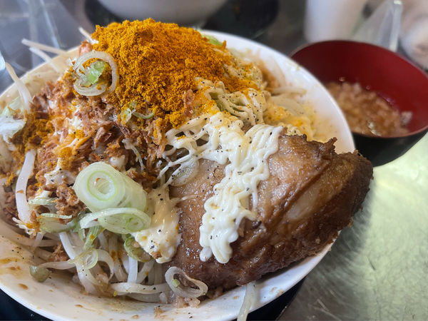 「カレー汁なし＋ネギ＋スライスチーズ」@道の途中の写真