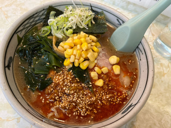 「からし麺 ¥800+チャーシュー ¥200」@つけ麺 大雄 片倉町店の写真