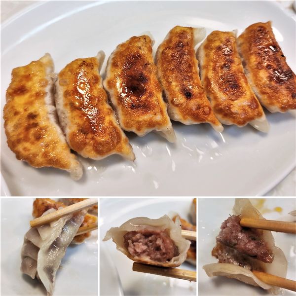 「肉餃子(6個)　500円」@餃子の王さまの写真