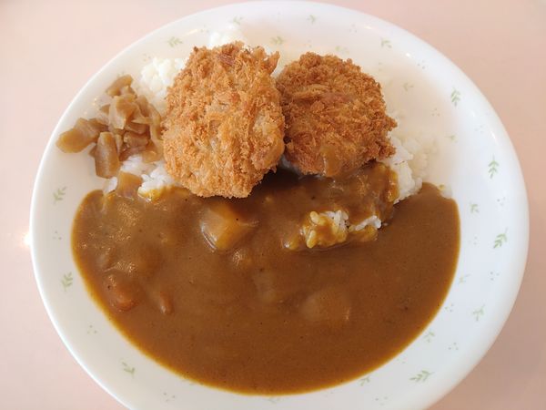 「ヒレカツカレー（中）　４４０円」@東京都立大学 南大沢キャンパス 生活協同組合 食堂部の写真