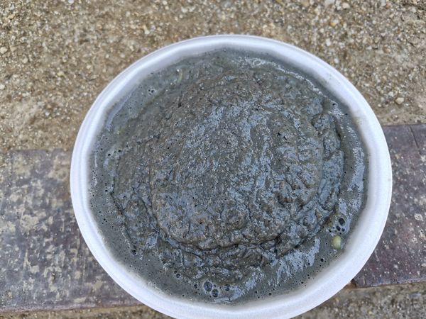 「大岩ラーメン特魚」@大岩亭 キッチンカーの写真