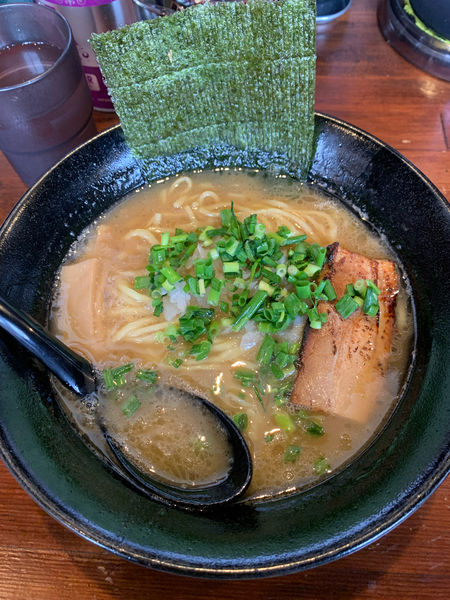 「鶏白湯ラーメン 850円」@麺屋 よじむの写真