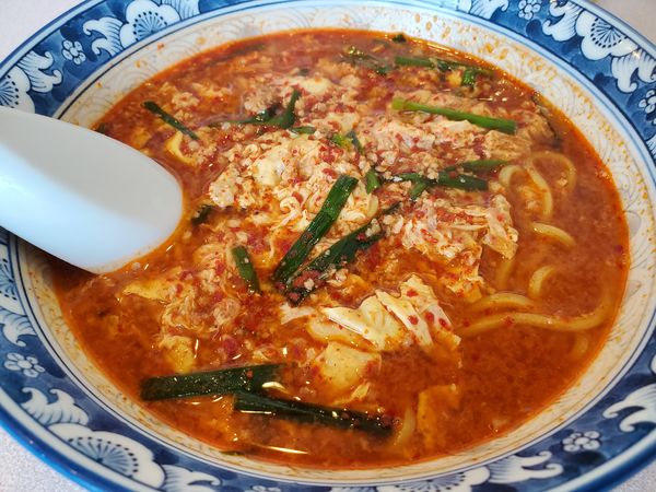 「タンタン麺・中辛」@麺酒食堂 ひだりうまの写真