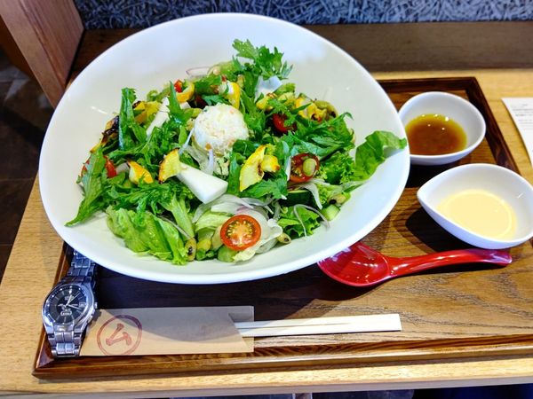 「スペシャルサラダうどん(並盛・250g)1,200円」@ムラノナカ食堂の写真