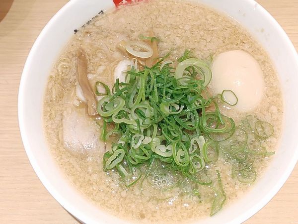 「ラーメン（並、背脂多め）＋半熟玉子」@京都銀閣寺 ますたにラーメン 室町店の写真
