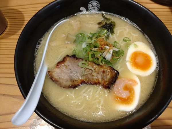 「鶏白湯らーめん+塩玉」@塩らーめん専門 ひるがお 人形町店の写真