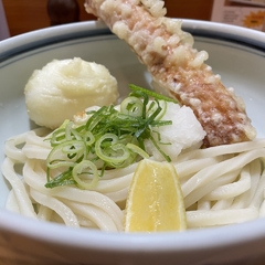 うどんの四国 なんばウォーク東店の画像