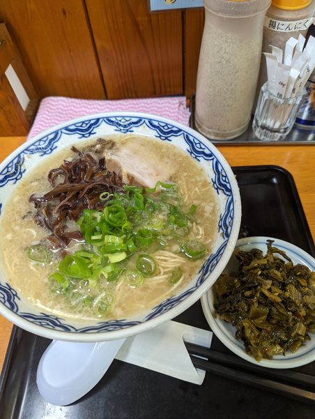「博多ラーメン(替玉無料デー)+辛子高菜」@由丸製麺所の写真