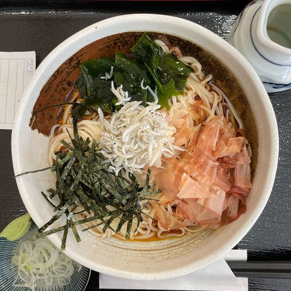 「冷ししらすおろしうどん」@蕎麦処 大宣の写真