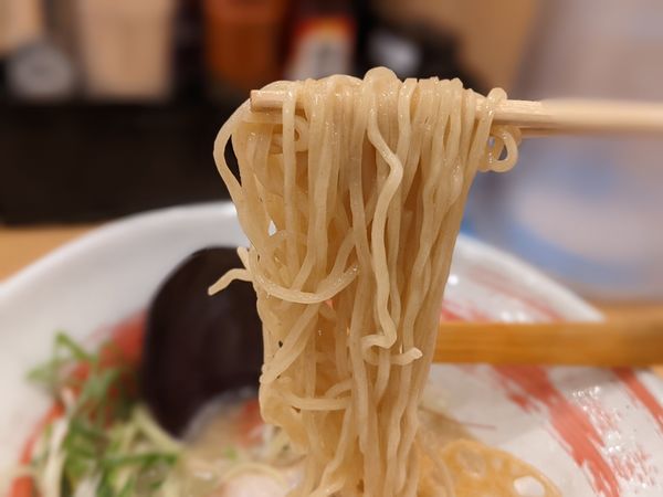 「エースラーメン」@九州ラーメン 加虎の写真