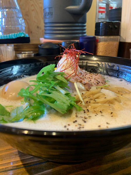 「豊潤はやぶさ　大盛」@麺屋はやぶさの写真