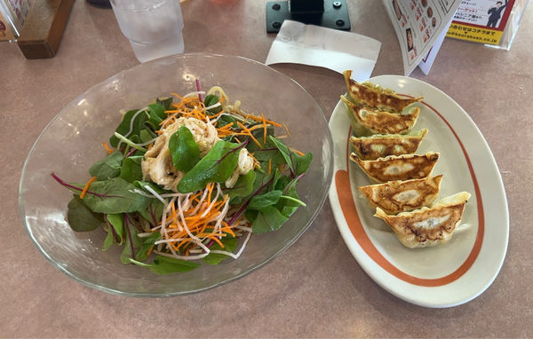 「ごま油香る彩り野菜と蒸し鶏のさっぱり冷やし中華＋ハーフ&ハーフ餃」@幸楽苑 千葉中央店の写真