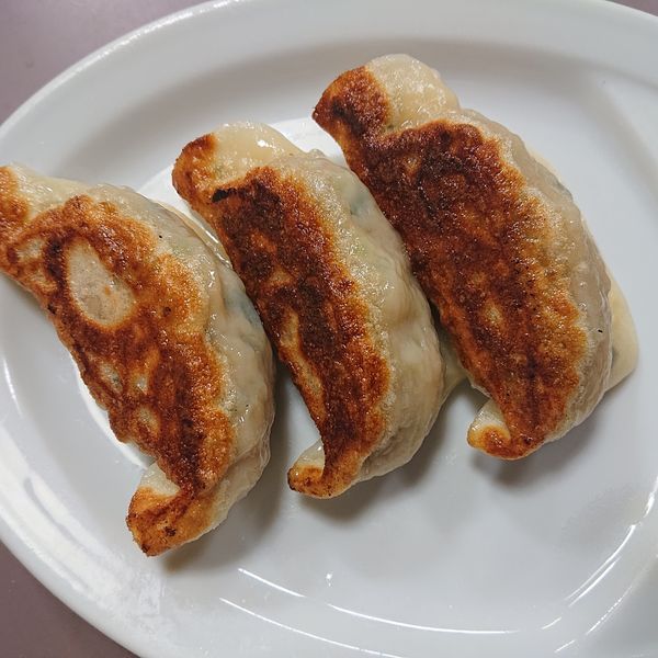 「青ねぎラーメン850円、餃子270円」@佐野青竹手打ちラーメン いしかりの写真