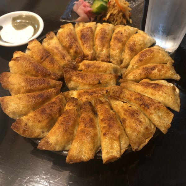 「餃子 1皿（22コ）」@餃子の照井 福島駅東口店の写真