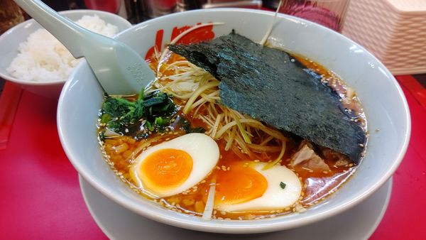 「辛味噌ネギラーメン激辛＋半ライス1020円クーポン味玉」@ラーメン山岡家 長岡堺店の写真