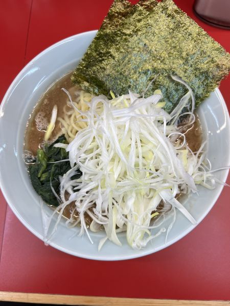 「朝ラー大600円+白ネギ100円」@ラーメン堀田家の写真