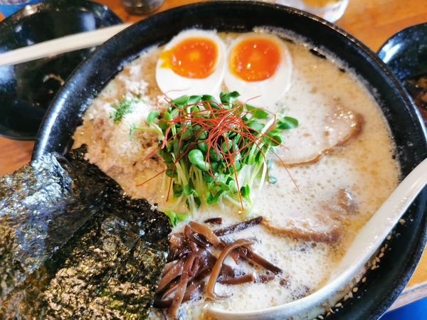 「８周年限定　手もみ鶏塩白湯そば」@麺屋 鶏口の写真