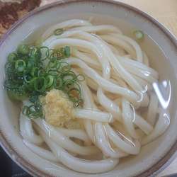 うどん(冷かけ)(1玉)300円他