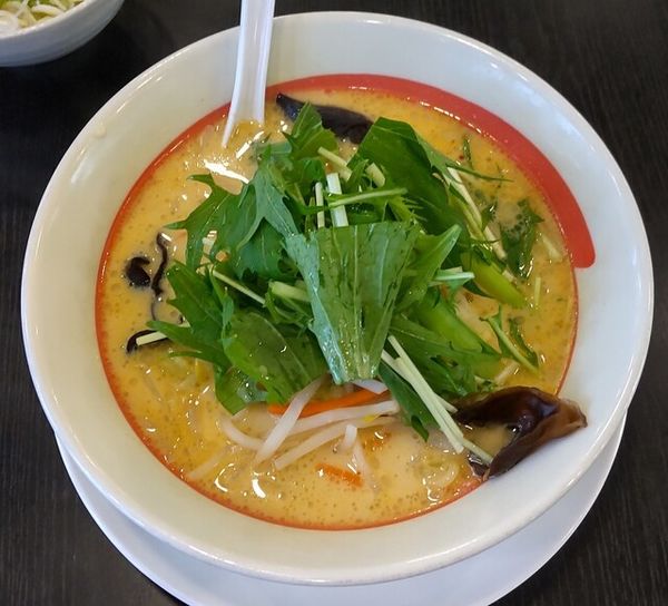 「豆乳らーめん540円」@幸楽苑 山形嶋店の写真