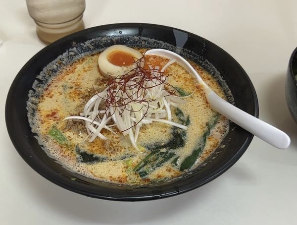 「担々麺」@ラーメンHOT めん花の写真