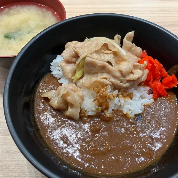 「スタミナカレーミニ680円味噌汁付き」@伝説のすた丼屋 ららぽーとTOKYO-BAY店の写真