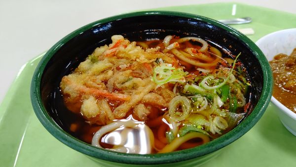 「天ぷらうどん３１０円」@波止場食堂 つばさ店の写真