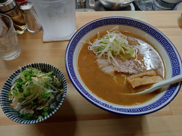 「煮干しらーめん　いわしごはん」@煮干しらーめん19の写真