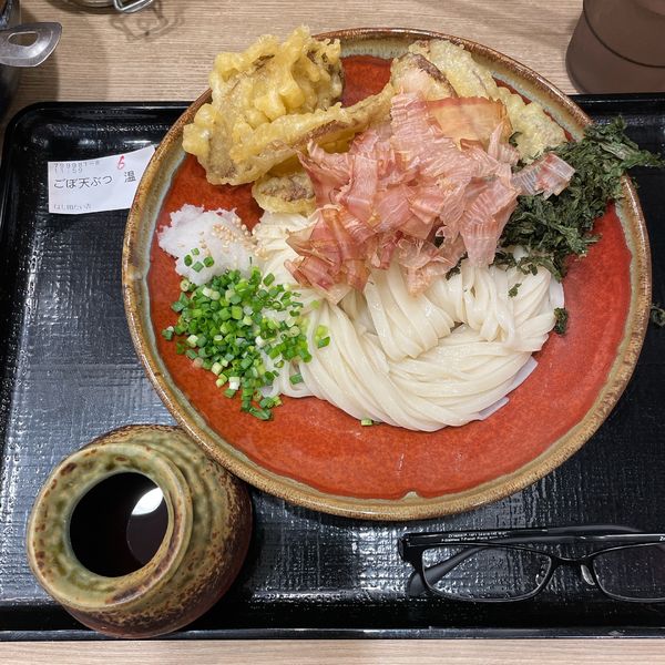 「ごぼう天ぶっかけうどん（冷）」@博多うどん はし田たい吉 西新橋店の写真