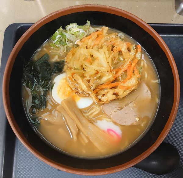 「煮干しラーメン+天ぷら(630円)」@名代 富士そば 秋津店の写真