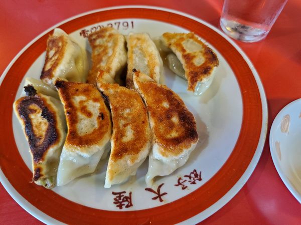 「焼きぎょうざ」@大陸の写真