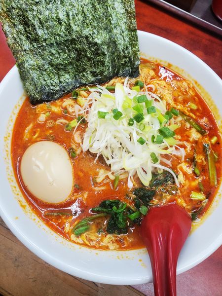 「ドラたんたん麺辛さ上級＋半熟卵＆海苔4枚」@らーめん ドラごんちの写真