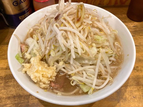 「小ラーメン 750円」@ラーメン二郎 前橋千代田町店の写真
