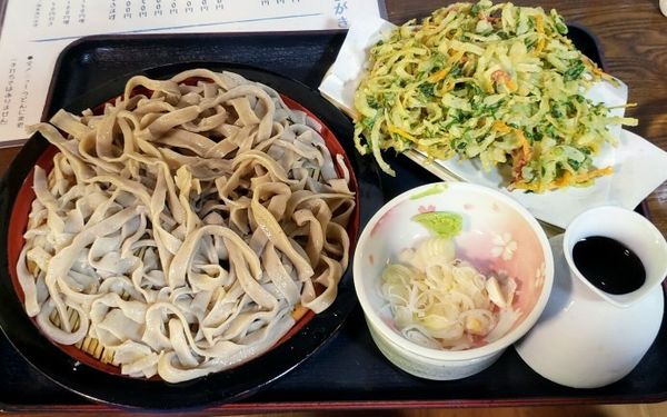 「旬菜天ざる（旬の山菜・野菜7品）大盛 １,５００円」@そば園 佐竹の写真