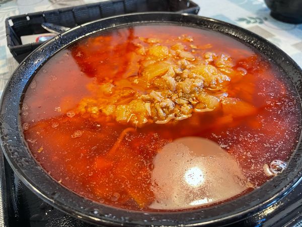 「勝浦風タンタンメン　ワイルド」@DOLPHINの写真