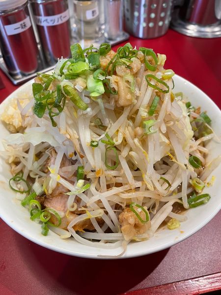 「濃厚ラーメン並盛（ニンニクちょっとヤサイアブラネギ増し）」@豚らーめん ミドリカワの写真