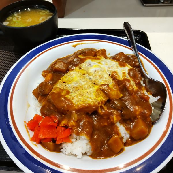 「【店舗限定】カレーかつ丼（￥620）」@名代 富士そば 蒲田店の写真