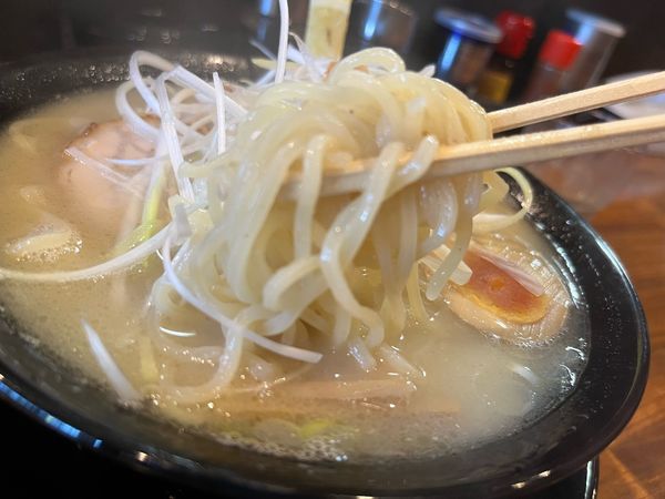 「濃厚鶏白湯(塩)880円」@らぁ麺 とみ田の写真