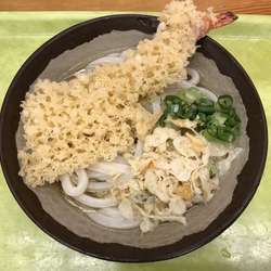 冷やかけうどん 中 280円　+ えび天 110円