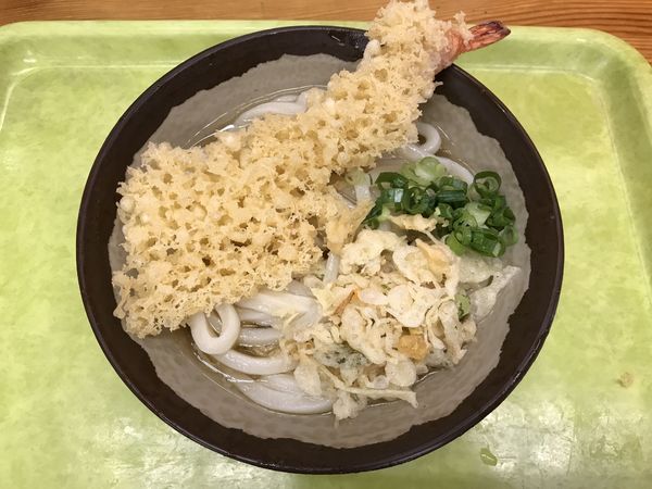 「冷やかけうどん 中 280円　+ えび天 110円」@さか枝の写真