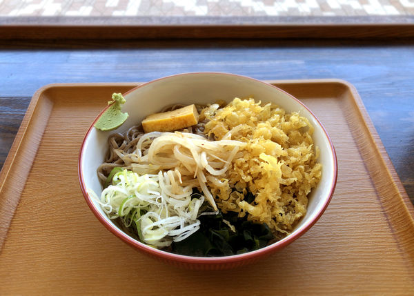 「冷やしたぬき(550円)」@そば処 たつみの写真