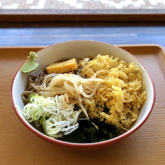 そば処 たつみの画像