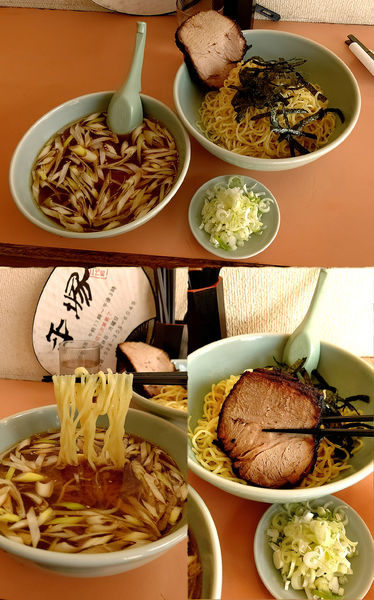 「『つけめん+ネギ(¥900+50)』」@平塚ラーメン 二代目の写真