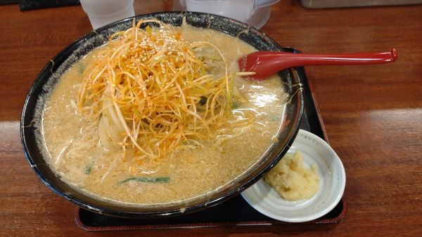 「ネギ味噌ラーメン」@めん王 沼南店の写真