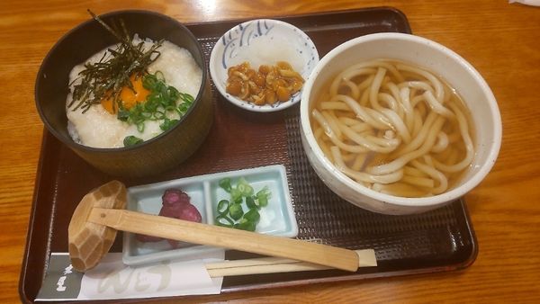 「とろろごはん定食」@銀座 木屋 ビーンズ赤羽店の写真