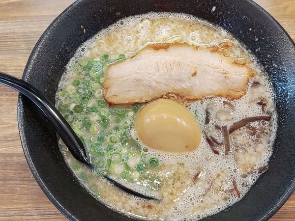 「九州とんこつ半熟味玉子らぁめん」@どんきさろくの写真