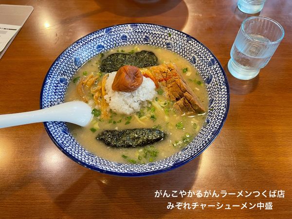 「みぞれチャーシューメン」@がんこや かるがんラーメン つくば店の写真