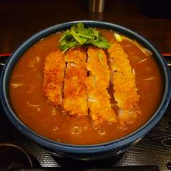カツカレー南蛮そば（￥1,100）