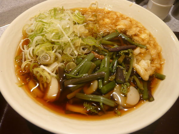 「山菜そば（ネギ盛り）」@そば処 かめや 新橋店の写真