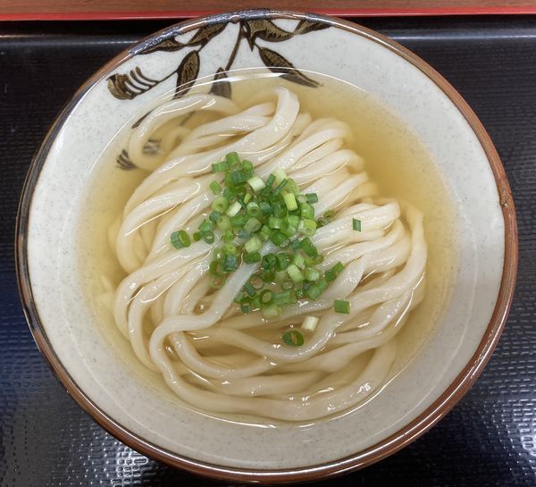 「ひやひや　400円」@讃岐うどん いわいの写真